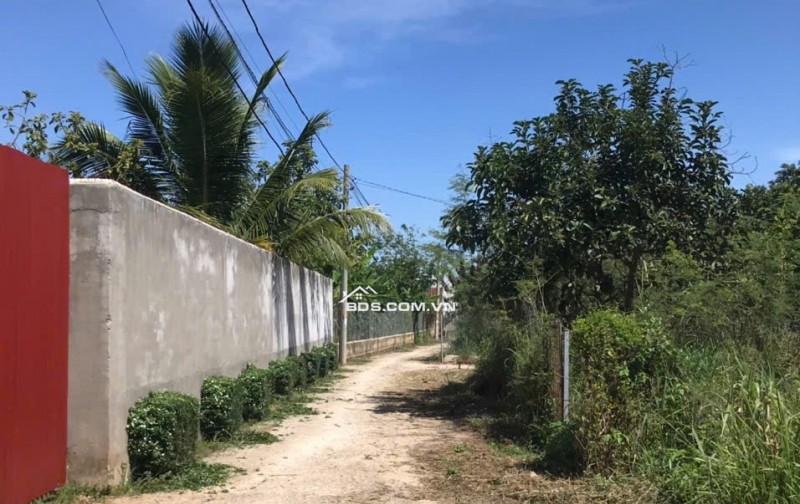 Bán đất mặt tiền Nguyễn Thế Toàn, Gia Kiệm – Thống Nhất – Đồng Nai | 161m² | Giá 1 tỷ 2 trọn sổ